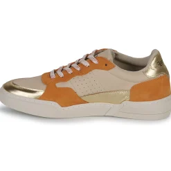 New Fericelli - DAME