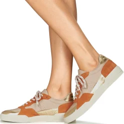 New Fericelli - DAME