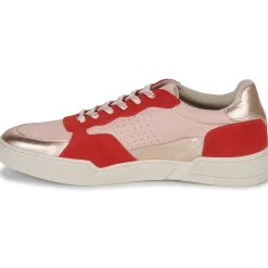 Hot Fericelli - DAME