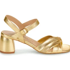 Hot Fericelli - JESSE Doré