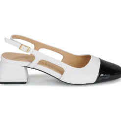 Discount Fericelli - LEA