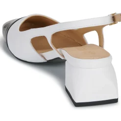 Discount Fericelli - LEA