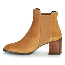 Fericelli - NONUTS Camel