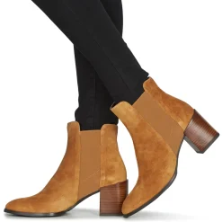 Fericelli - NONUTS Camel