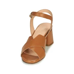 Fericelli - ONAPA Camel Online