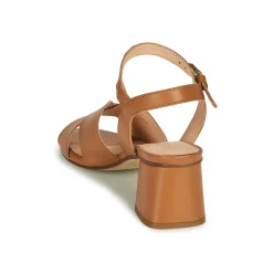 Fericelli - ONAPA Camel Online