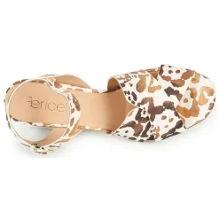 Fericelli - ONAPA Clearance