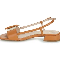 Outlet Fericelli - PANILA