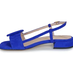 Clearance Fericelli - PANILA Bleu