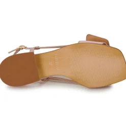 Best Fericelli - PANILA Rose