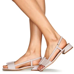 Best Fericelli - PANILA Rose