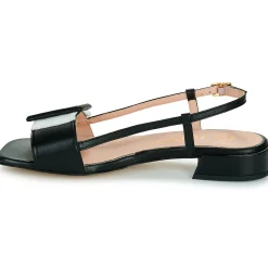 Online Fericelli - PANILA