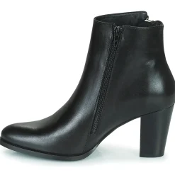 New Fericelli - POMIO Noir