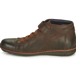 Fluchos - ALFA Marron