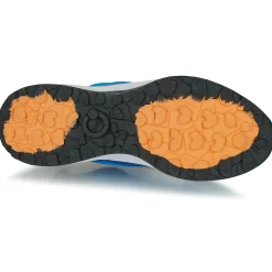 Clearance Fluchos - TERRA