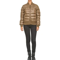 Franklin & Marshall - JKWAL511 Marron Online