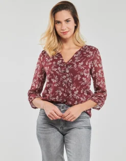 Freeman T.Porter - CERA POINSETTIA Red Outlet