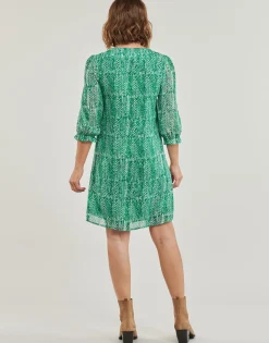 Outlet Freeman T.Porter - JUNA TIGREA Vert