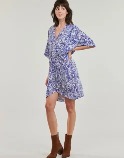 Best Freeman T.Porter - ROZA ZEBRURE Bleu