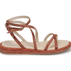 Fru.it - 6780-100-COLTO