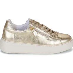 Hot Gabor - 66488 Doré