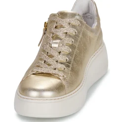 Hot Gabor - 66488 Doré