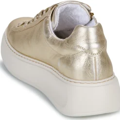 Hot Gabor - 66488 Doré