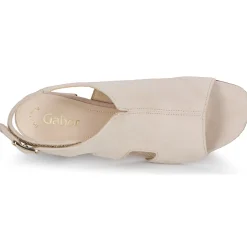 Gabor - 61712 Beige New