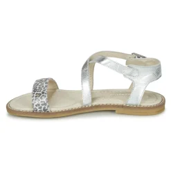 Garvalin - COSMOS Argent Discount