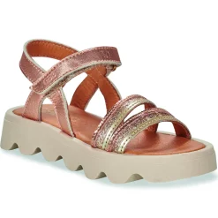 Sale GBB - ALBA Rose