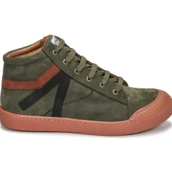 Online GBB - ARNOLD Vert