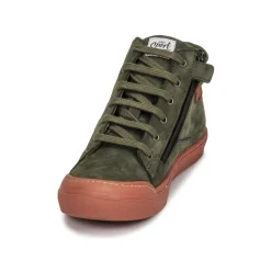 Online GBB - ARNOLD Vert