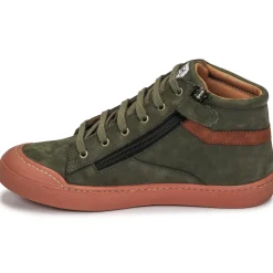 Online GBB - ARNOLD Vert