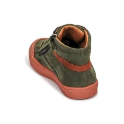 Online GBB - ARNOLD Vert