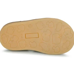 GBB - AUGUSTE Marron New