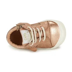 GBB - AURELIA Rose Discount