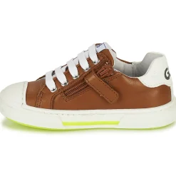 GBB - BATINO Marron Best