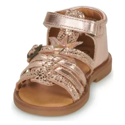 Discount GBB - CARETTE Rose