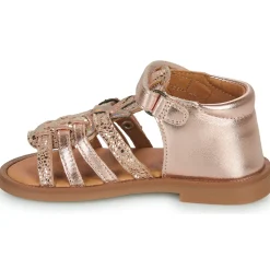 Discount GBB - CARETTE Rose