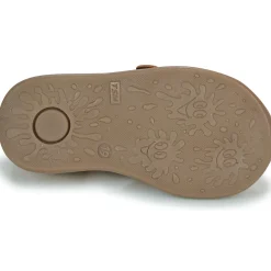 Best GBB - CARIGO Marron