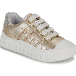 Online GBB - COLISA Doré