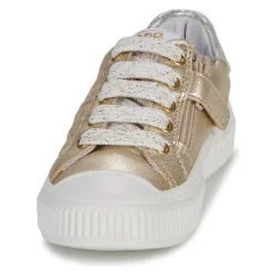 Online GBB - COLISA Doré