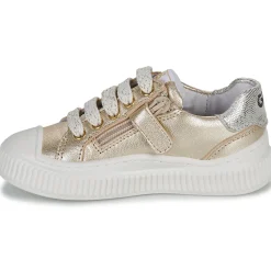 GBB - COLISA Doré Hot