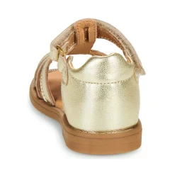 Best GBB - DAPHNE Doré