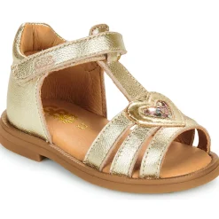 GBB - DAPHNE Doré Online