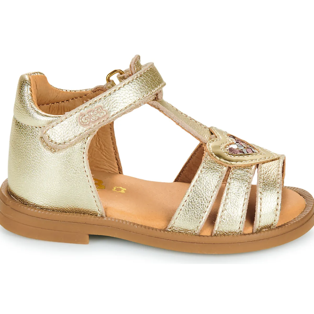 GBB - DAPHNE Doré Online