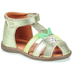 GBB - DIMA Doré Best