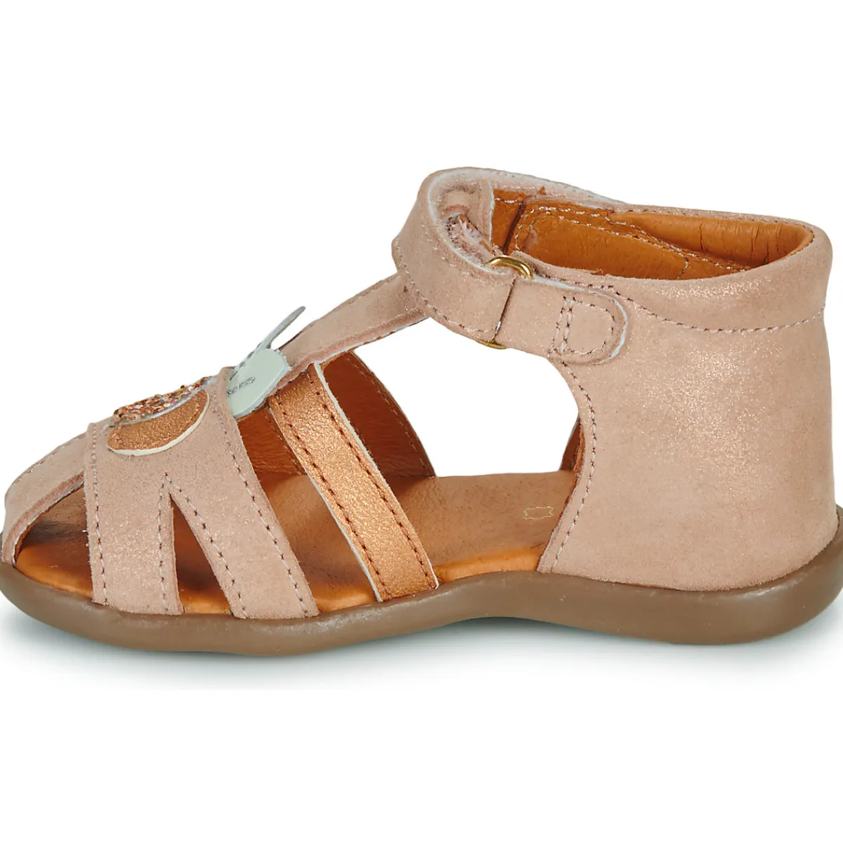 GBB - DIMA Rose Outlet