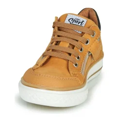 Clearance GBB - ETIO Cognac