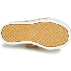 Clearance GBB - ETIO Cognac